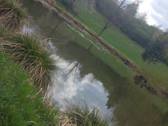 Kuhteiche (Moorgrund)-1