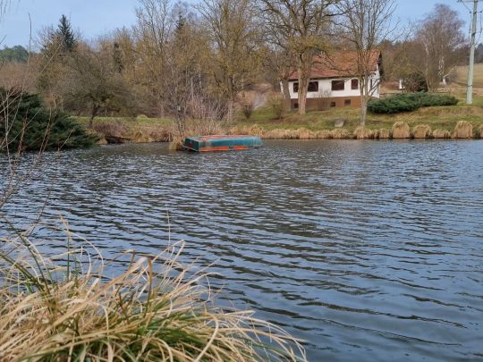 Kuhteiche (Moorgrund)-3