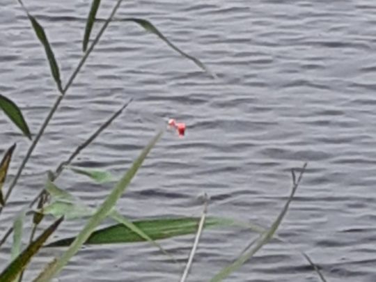 Vorhaltebecken Oldersum