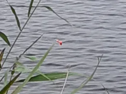 Vorhaltebecken Oldersum