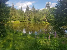 Lenkgrund (Frauenwald)-1