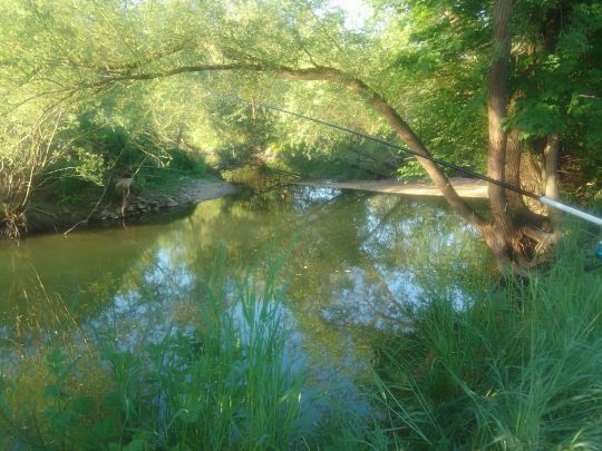 Emmer (Bad Pyrmont)-2