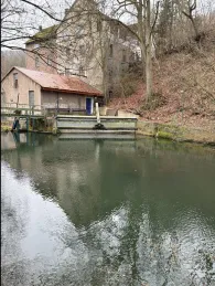 Emmer (Bad Pyrmont)-3