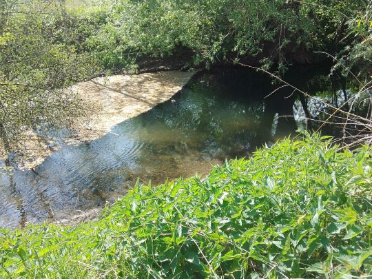 Emmer (Bad Pyrmont)-1