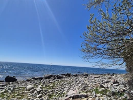 Ostsee (Fehmarn-Staberhuk)-4