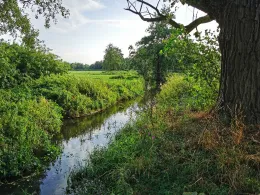 Soeste (Cloppenburg)-1