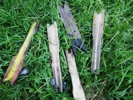 Soeste (Cloppenburg)