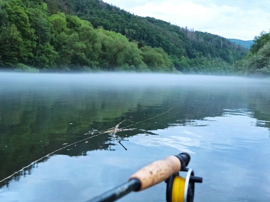 Eder (Bad Wildungen)