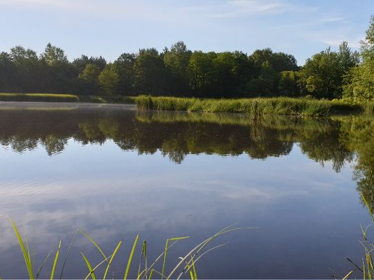 Unterer Voigtsdorfer Teich-4