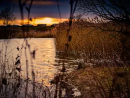 Kiesgrube KAF 3 (Barchfeld)-4