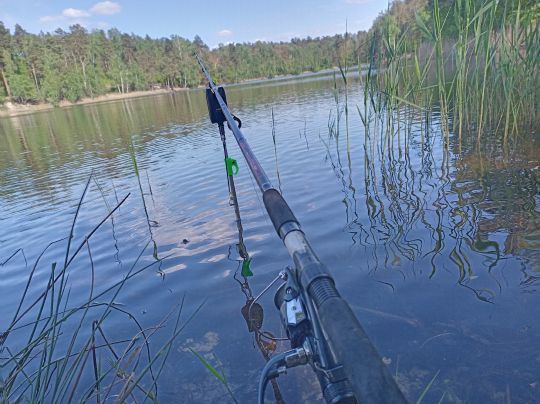 Waldsee Weißwasser-1