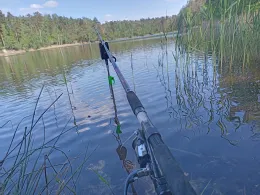 Waldsee Weißwasser-1