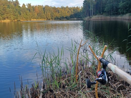 Waldsee Weißwasser-3