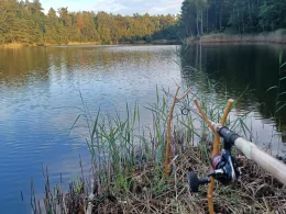Waldsee Weißwasser-3