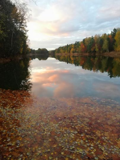Waldsee Weißwasser-2