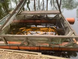 Forellenparadies Holm