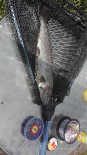 Forellenparadies Holm-3