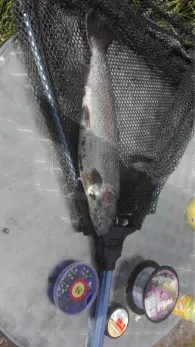 Forellenparadies Holm-3