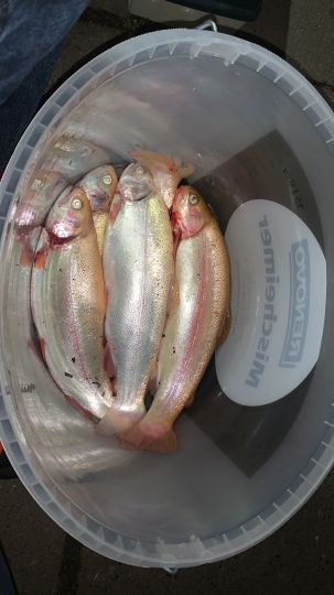 Forellenparadies Holm-1