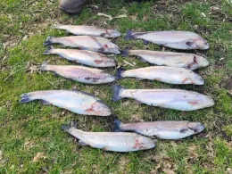 Forellenparadies Holm-4