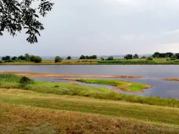 Oder (Lunow-Stolzenhagen)