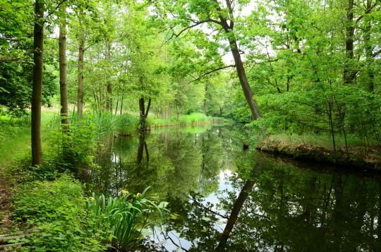 Parkteiche Straupitz-2