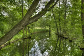 Parkteiche Straupitz-3