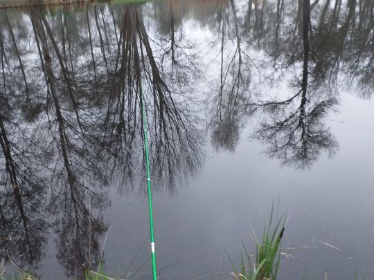 Parkteiche Straupitz-1