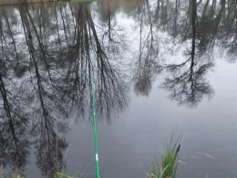 Parkteiche Straupitz-1