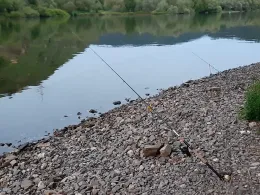 Mosel (Kobern-Gondorf)