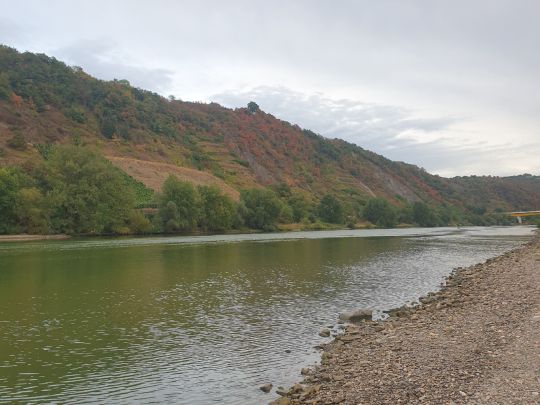 Mosel (Kobern-Gondorf)-2