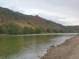 Mosel (Kobern-Gondorf)-2