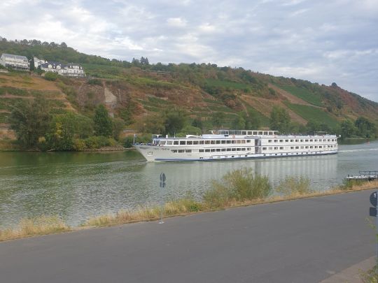 Mosel (Kobern-Gondorf)-4