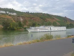 Mosel (Kobern-Gondorf)-4
