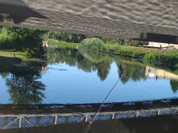 Zarow (Ueckermünde)-2