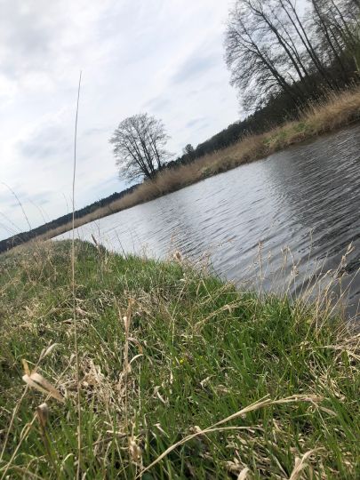 Zarow (Ueckermünde)-3