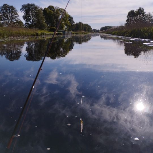 Zarow (Ueckermünde)-1
