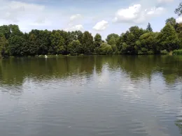 Kurparkseen Bad König-1