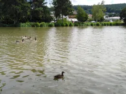 Kurparkseen Bad König-4