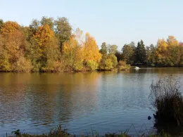 Kurparkseen Bad König-2