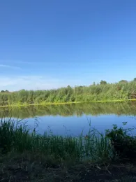 Altmühl (Gunzenhausen)-3