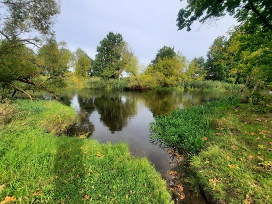 Spree (Spreeau-Mönchwinkel)-3