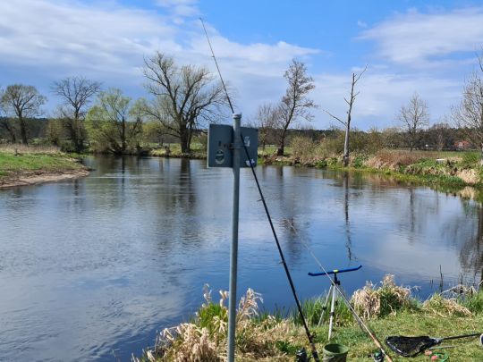 Spree (Spreeau-Mönchwinkel)-1