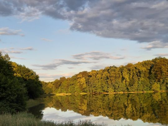 Mittelsee (Weisdin)-4