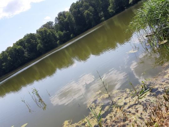 Mittelsee (Weisdin)-2