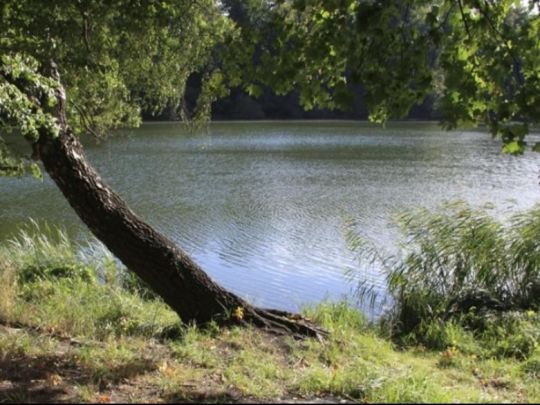 Mittelsee (Weisdin)-3