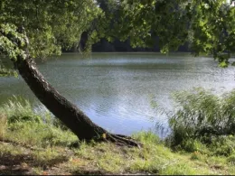 Mittelsee (Weisdin)-3