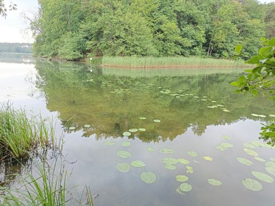Hellsee (Lanke)-2