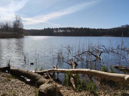 Hellsee (Lanke)-0