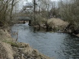 Weißer Main (Kulmbach)-3